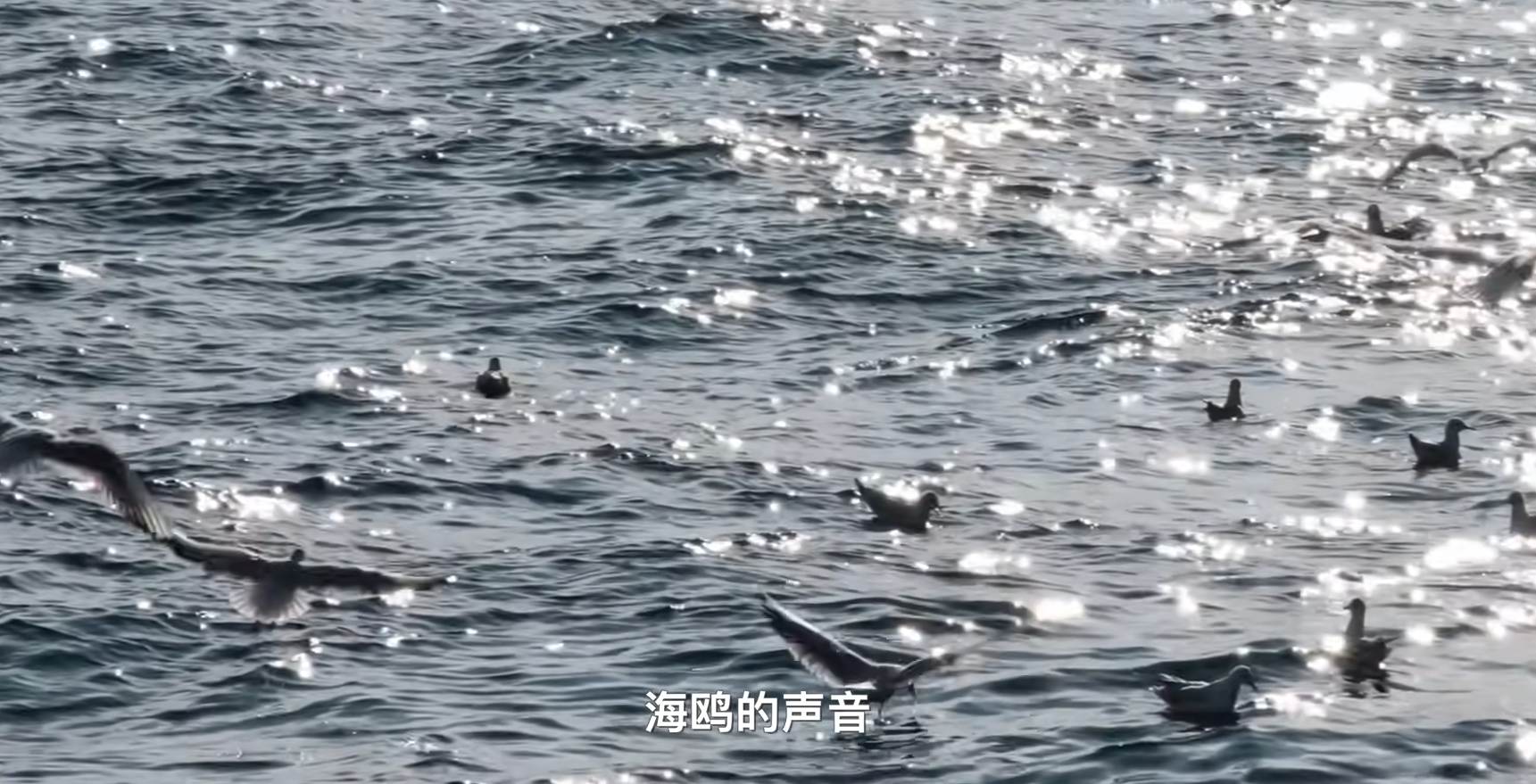 image-20240512224833499