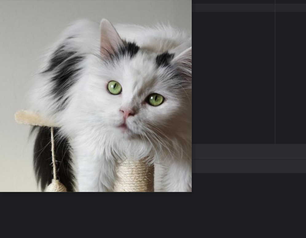 image-20240513154649550