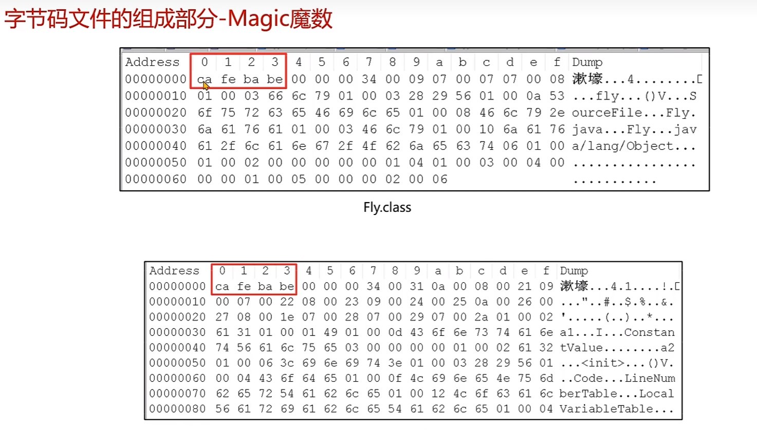 image-20240529102946836