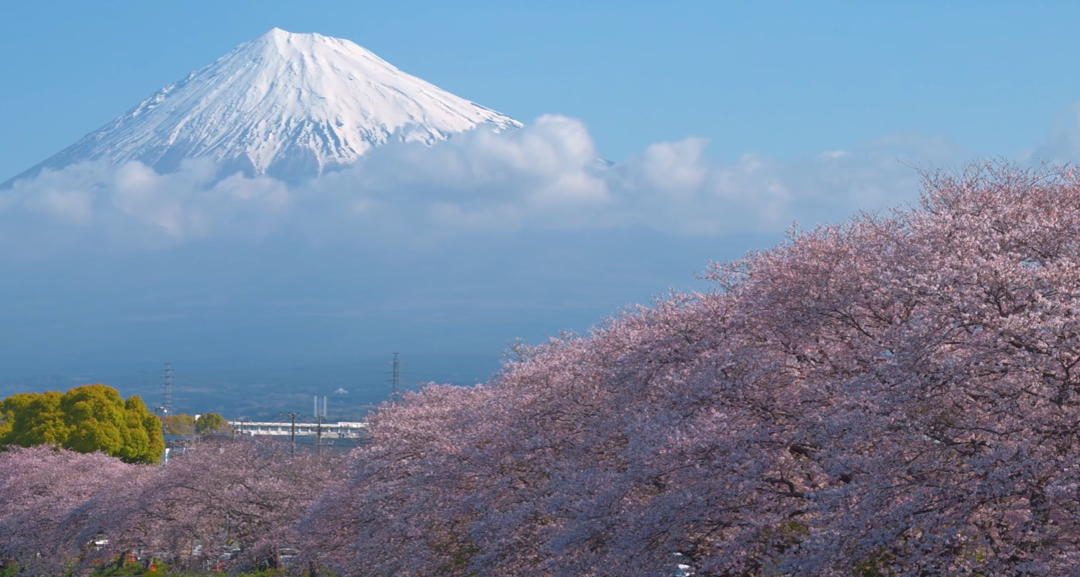 image-20240529185027205