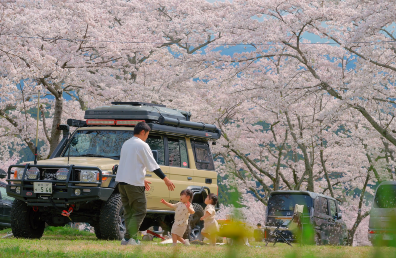 image-20240529185201469