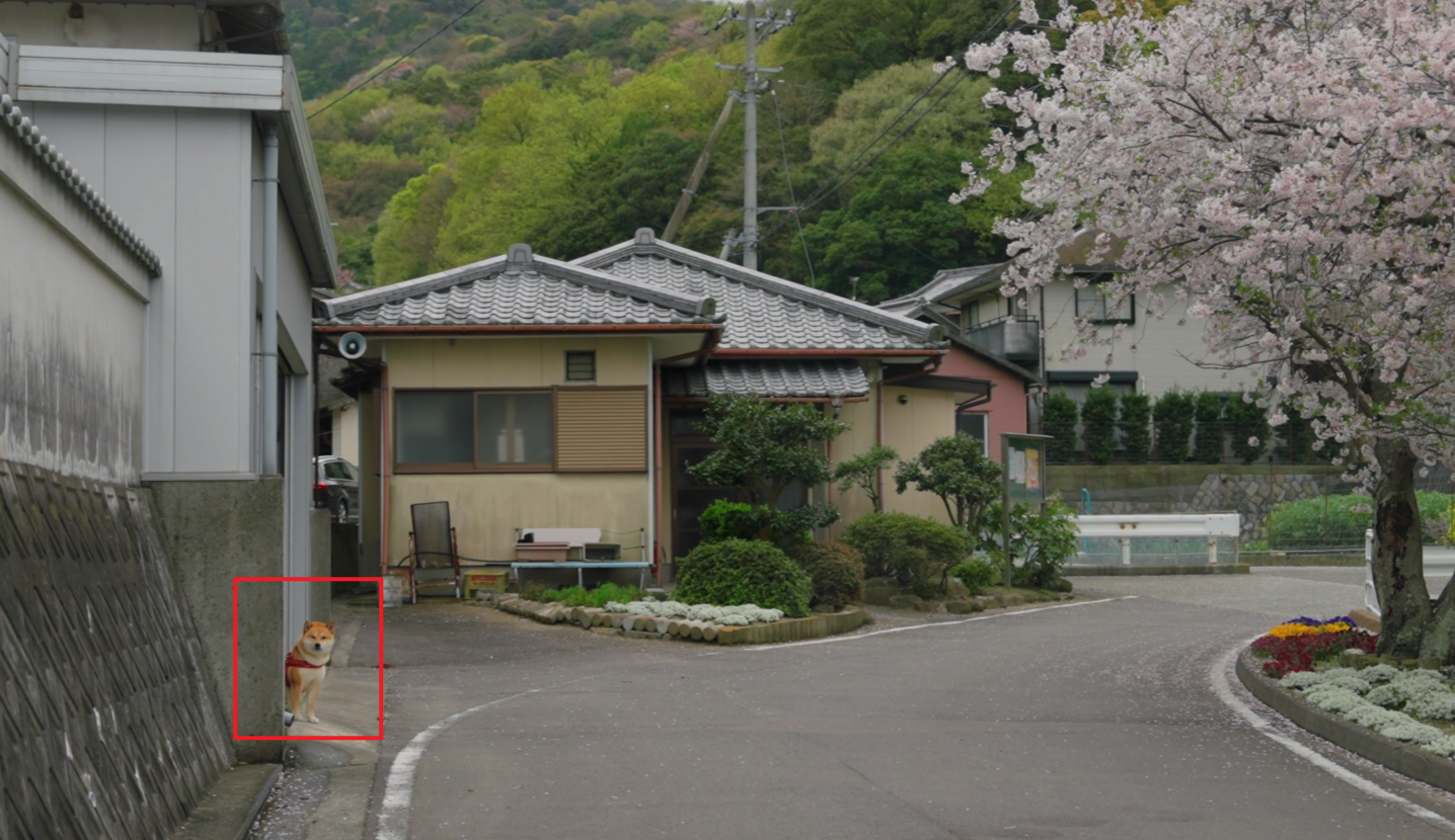 image-20240529185340540