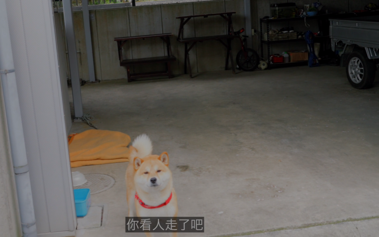 image-20240529185404483