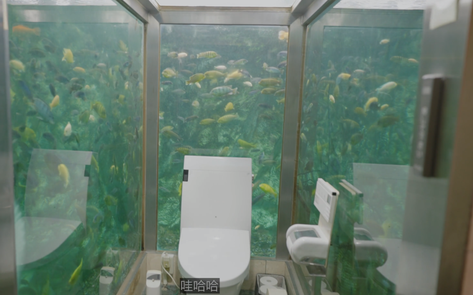 image-20240529185720462