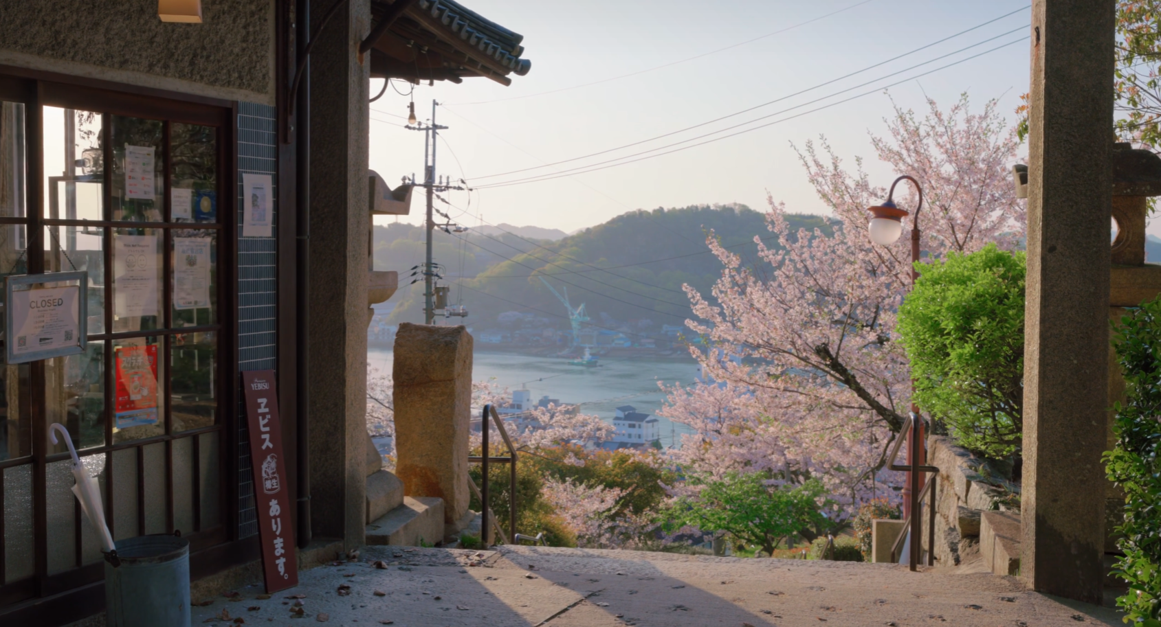 image-20240529185903046