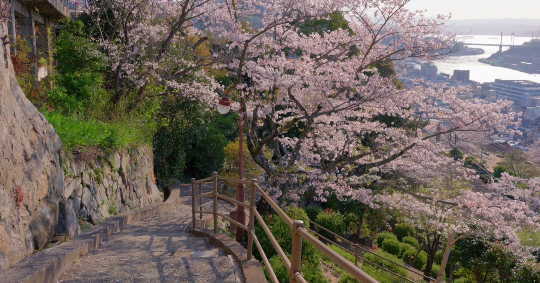 image-20240529190043809