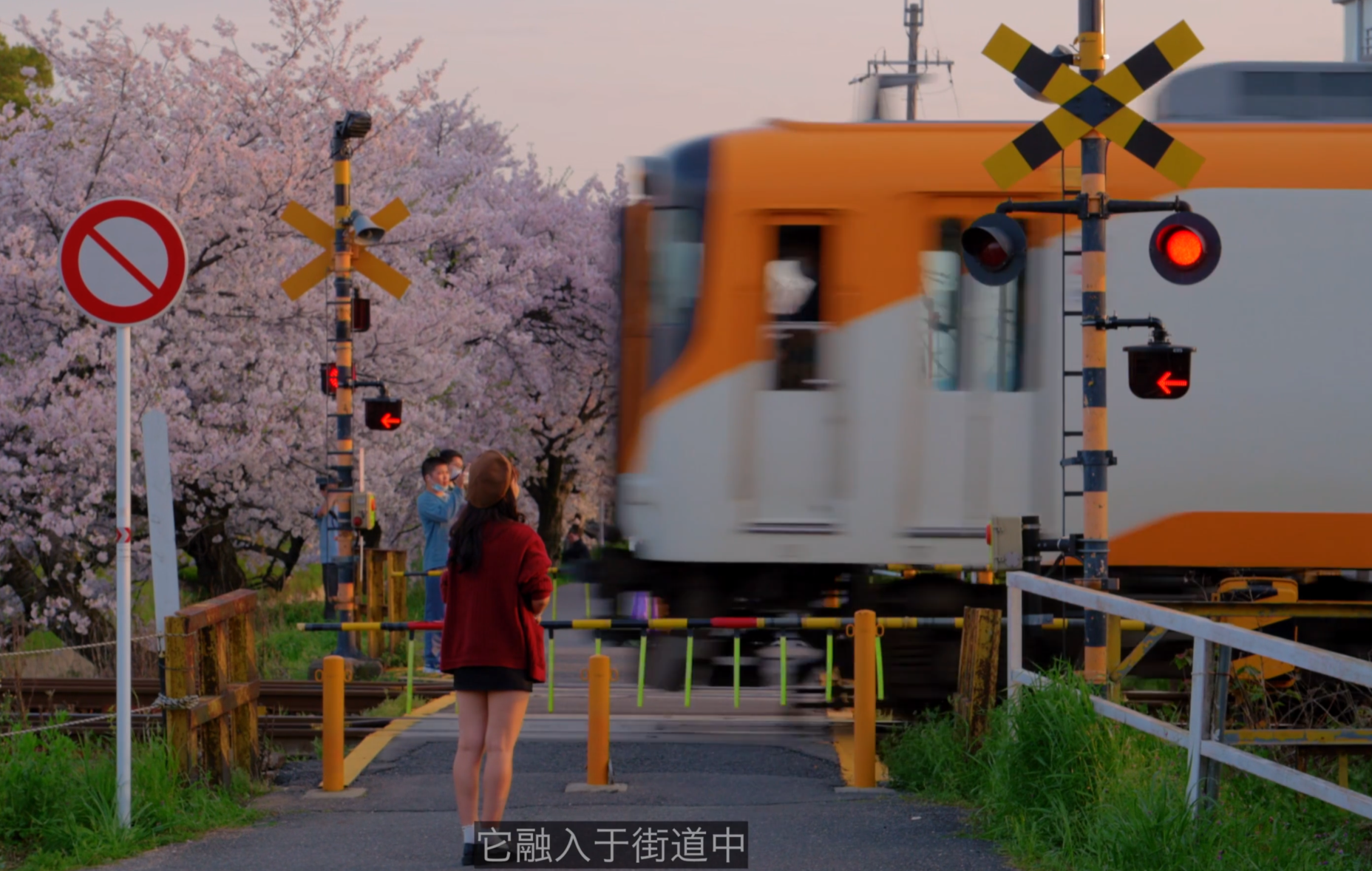 image-20240529190451634