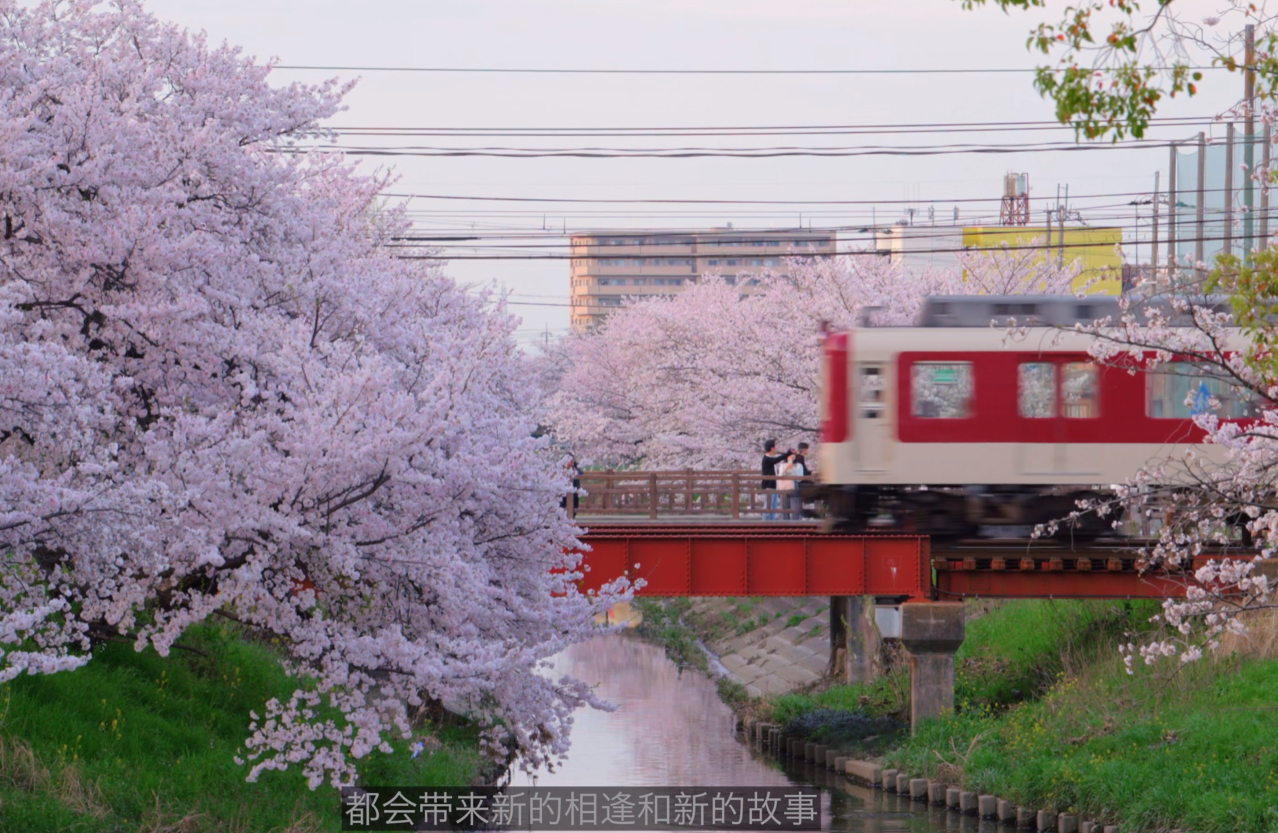 image-20240529190505462