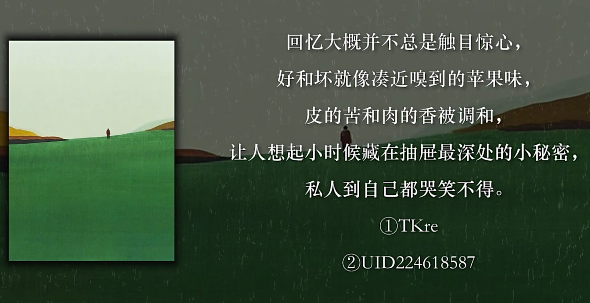 image-20240530124849946