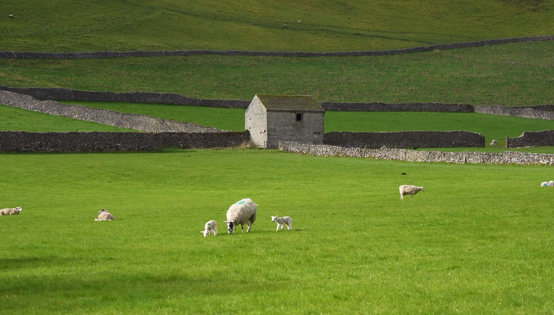 image-20240530183501849