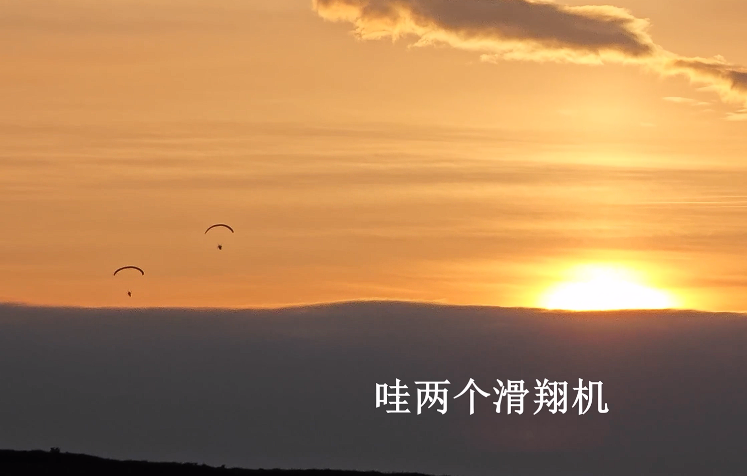 image-20240530184654497